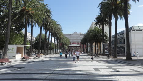 people walking along a palm tree-lined promenade with a grand building in the background