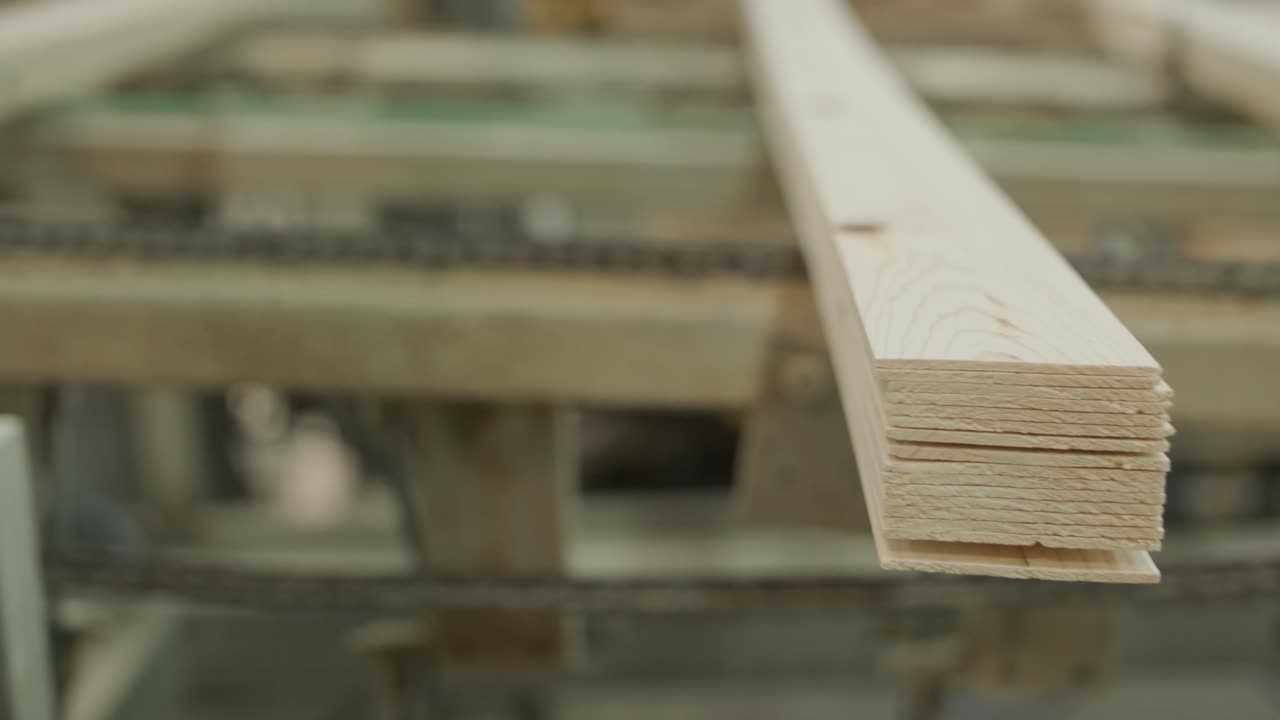 Assi di legno in movimento su nastro trasportatore in fabbrica
