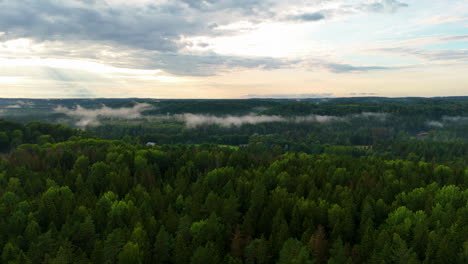 aerial view of a foggy forest at sunset