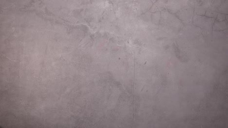 las frutas maduras exóticas aparecen en el lado izquierdo de la mesa de la cocina oscura.