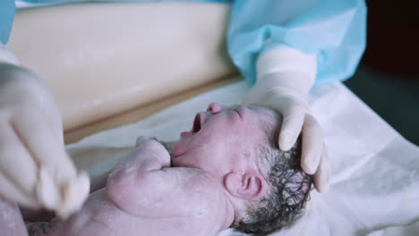 newborn examination