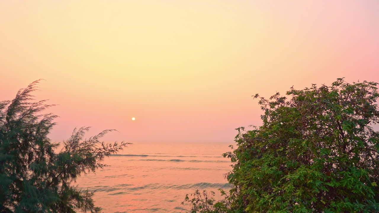 Meditative pink yellow sunset through bushes by sea waves, pan left