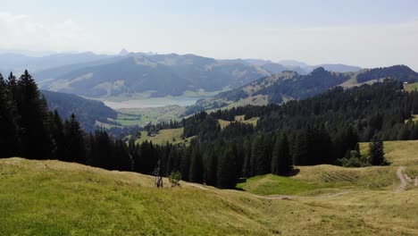 idílico paisaje suizo pastos de montaña y bosque junto al lago sihlsee suiza, vista aérea de drones