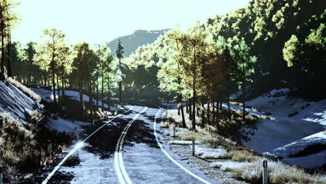 Curvy-asphalt-road-through-forest-in-autumn