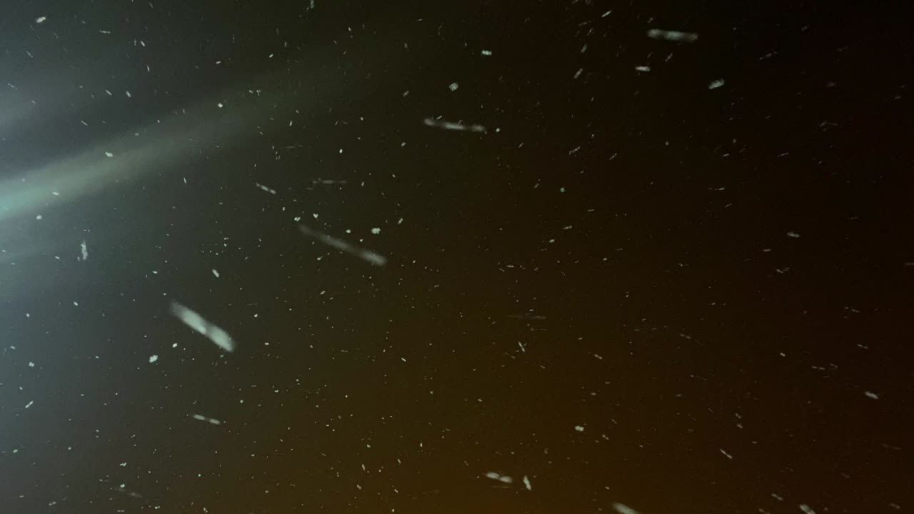 밤의 어두운 하늘을 배경으로 큰  눈송이가 날아갑니다.