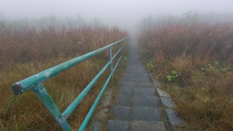 Los-Arbustos-Y-La-Hierba-En-La-Niebla-Se-Mecían-Con-El-Viento-Cerca-De-Los-Escalones-Del-Jardín