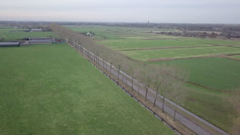 aerial drone shot of the road near the farm fields in the netherlands