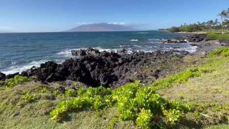 maui tropical landscape, lava rocks, coastal scenery