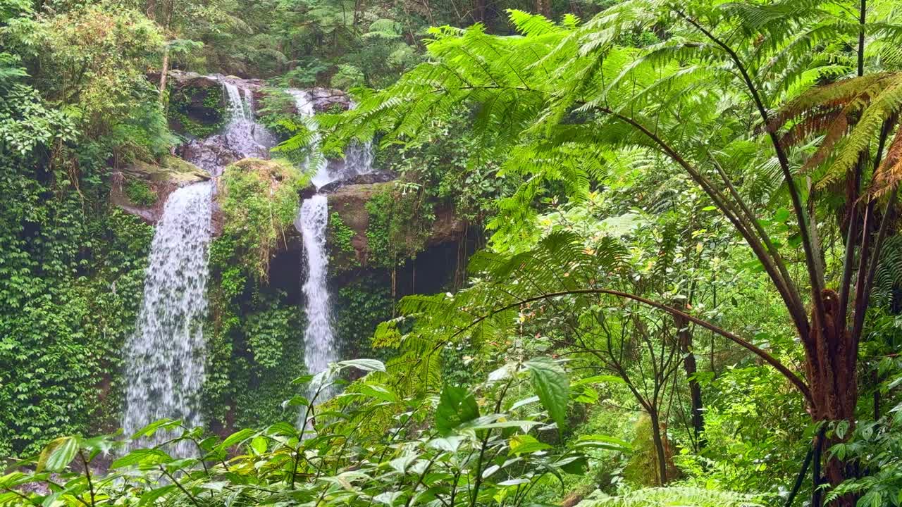 Tranquil jungle waterfall scene featuring crystal-clear water descending between dense vegetation and bright green ferns. Natural rainforest environment provides a peaceful and visually rich backdrop