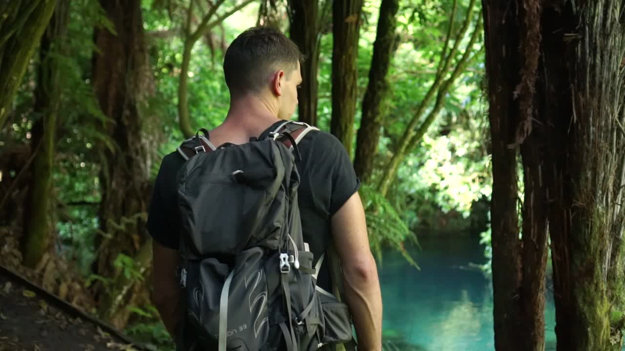slowmo - joven caucásico desde atrás caminando a través de un exuberante bosque nativo a lo largo de putaruru blue spring creek en nueva zelanda