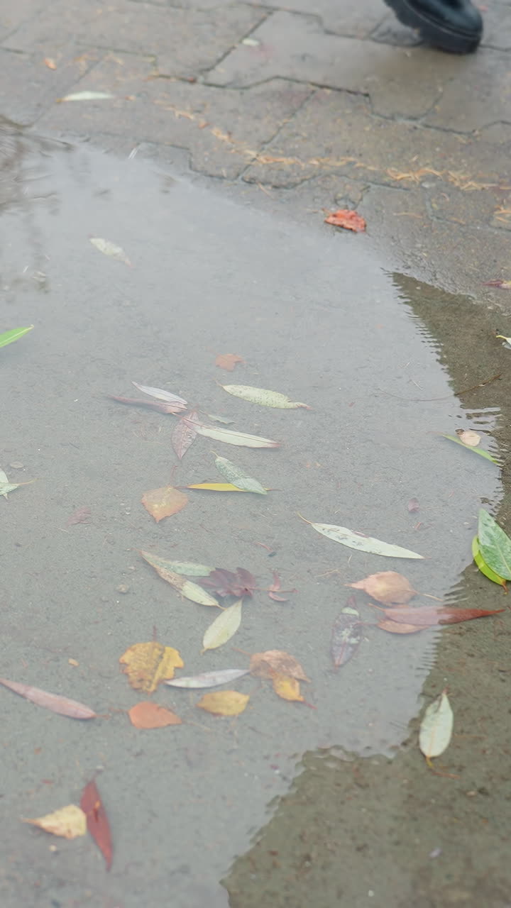 Water puddle on wet paved path with scattered colorful autumn leaves reflecting tree silhouettes above, light snowfall falling gently on surface during cold overcast day in peaceful urban park setting