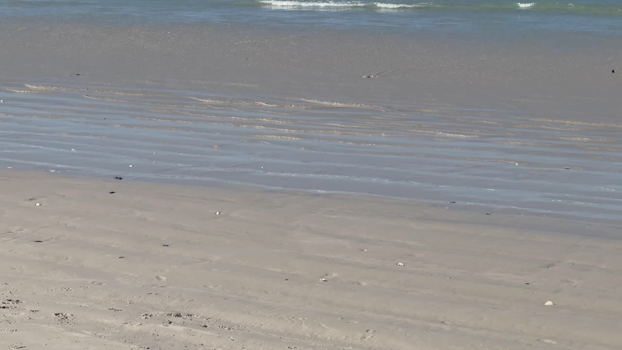 Little Waves on the oceans shoreline