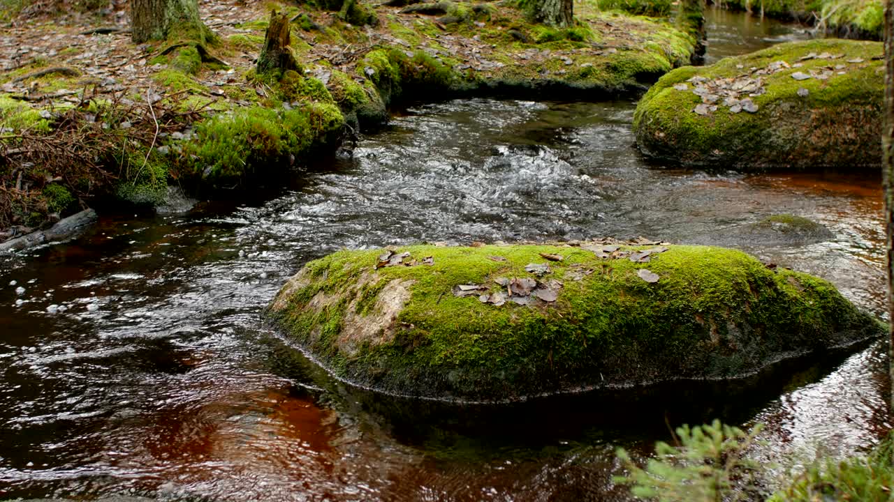 mountain cold clear stream