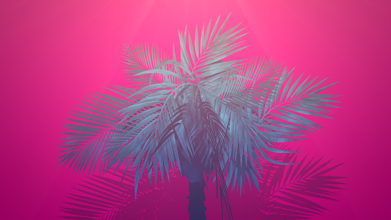 primer plano de palmeras tropicales