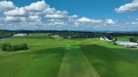 green corn fields in summer with white farm buildings, silos, and a patchwork of crops under a blue sky with fluffy clouds
