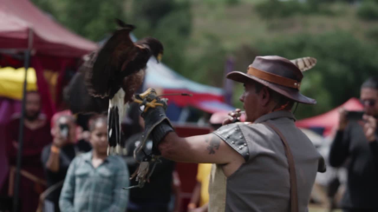 Falconer manipulating their bird during a performance