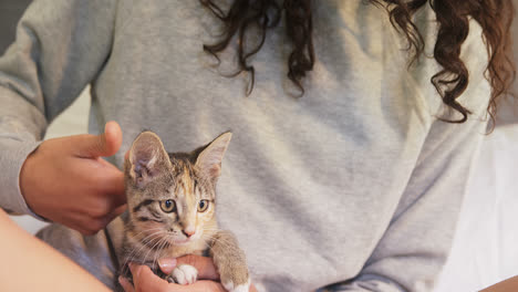 mujer joven sentada en la cama acariciando a su gato tabby en el dormitorio 4k 4k