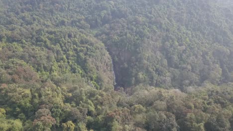 Beautiful-green-forest-trees-of-South-Goa-in-India--aerial