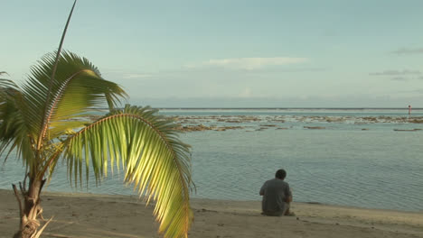 stock footage tropical island