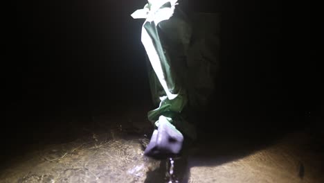 person wading in shallow water at night