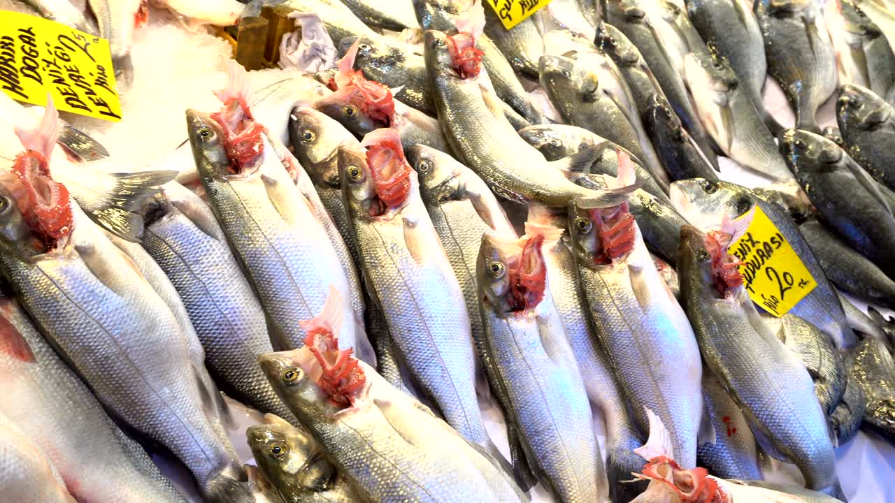 물고기 시장에서 얼음으로 된 해산물과 함께 다양한 이국적인 해산물, 물고기, 크래브, 조개, 새우 및 기타의 카운터.