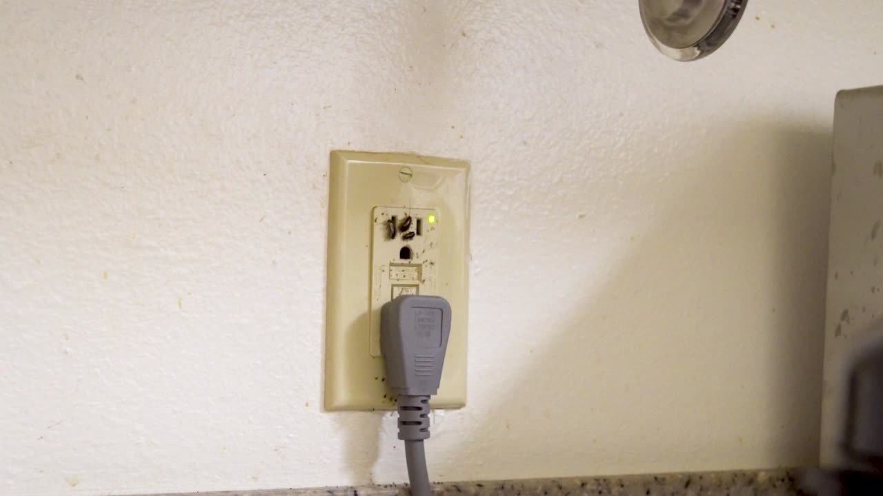 A close-up of a German cockroach in a dirty Florida kitchen outlet, combining entomology detail with a clear pest control concept about health, sanitation, and extermination needs