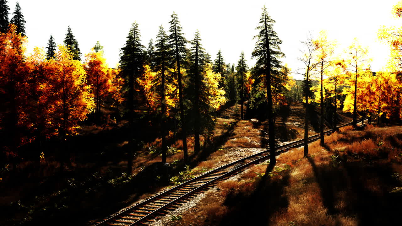 숲 속의 가을 잎자루와 철도 트랙