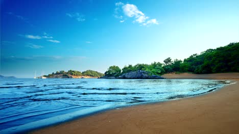 playa de arena tranquila con un hermoso fondo de bosque exuberante