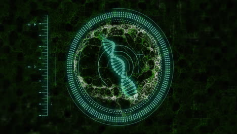 procesamiento de datos científicos, cadena de adn y animación de interfaz circular