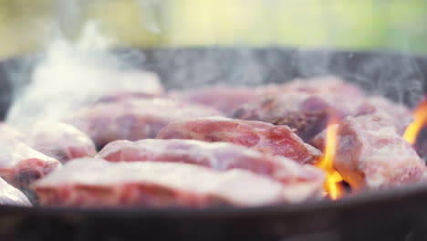 empuje a cámara lenta de la carne a la parrilla en la parrilla de barbacoa ardiente y ahumada