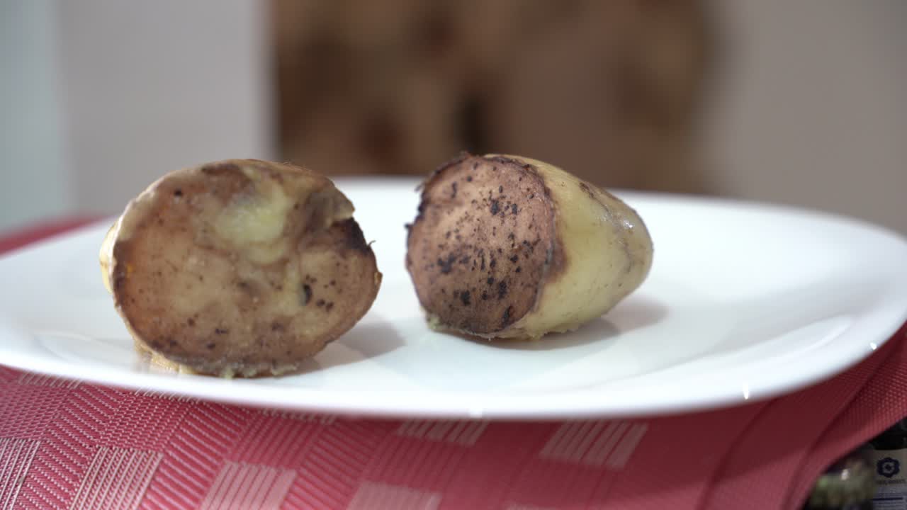 dos trozos de patatas cocidas en un plato