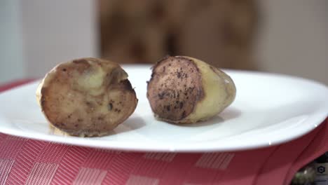 two pieces of cooked potatoes on a plate