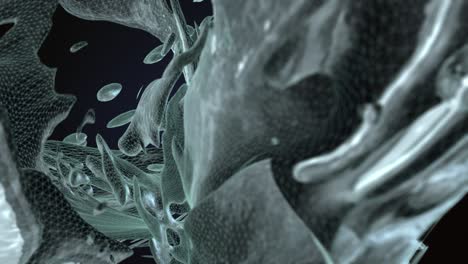 abstract digital liquid loop