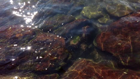 close up of red mossy rocks on clear water illuminated by sunlight at sunny morning