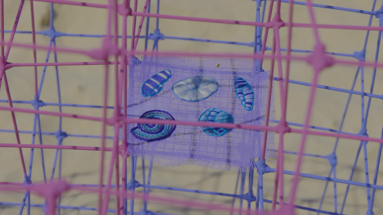 conchas exhibidas en una vibrante escultura de alambre