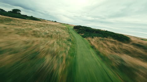 drone aéreo fpv sobrevuelo hermosos carriles verdes rodantes de irlanda enlaces campo de golf par cinco