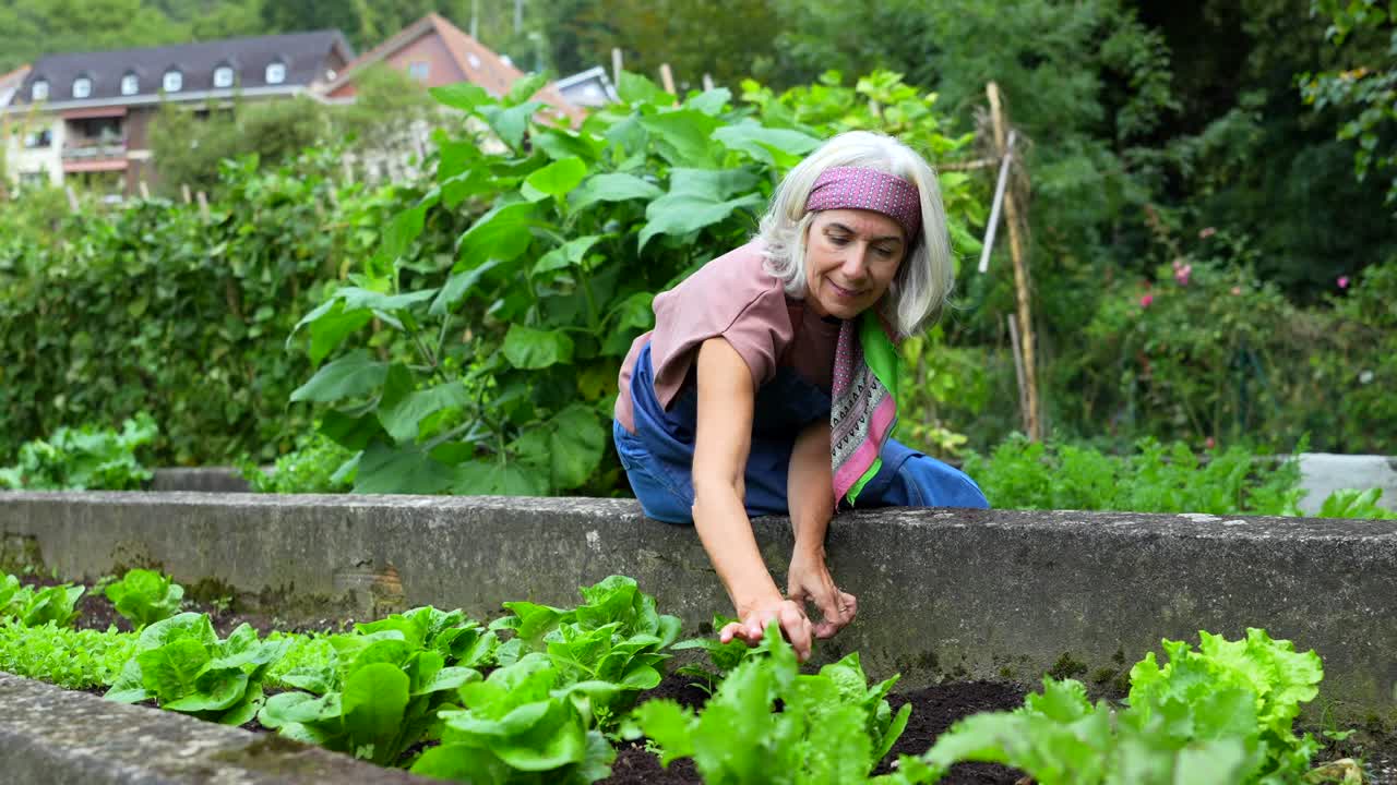 Femme âgée faisant du jardinage dans un potager