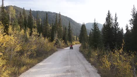 Low-drone-view-of-a-atv-driving-slow-through-the-forest-in-the-mountains-of-Utah