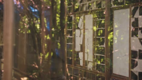 ruined japanese sliding doors in abandoned haunted mansion in forest