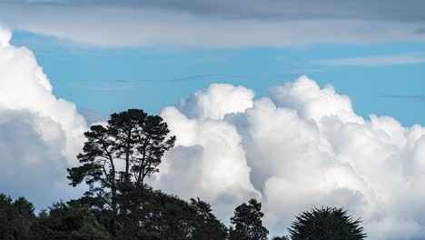 clouds and trees