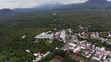 drone shot of an avocado packing house and avocado farms in uruapan michoacan