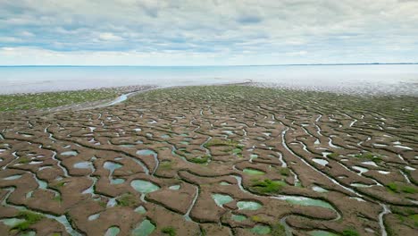 cracked mud flats in a salt marsh