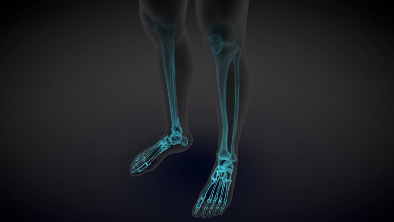 2 diferentes animaciones de bucle sin costuras 3d en 1, vista lateral del cuerpo masculino - escaneo de rayos x con órganos y esqueleto, ilustración de educación médica - 4k 60fps uhd