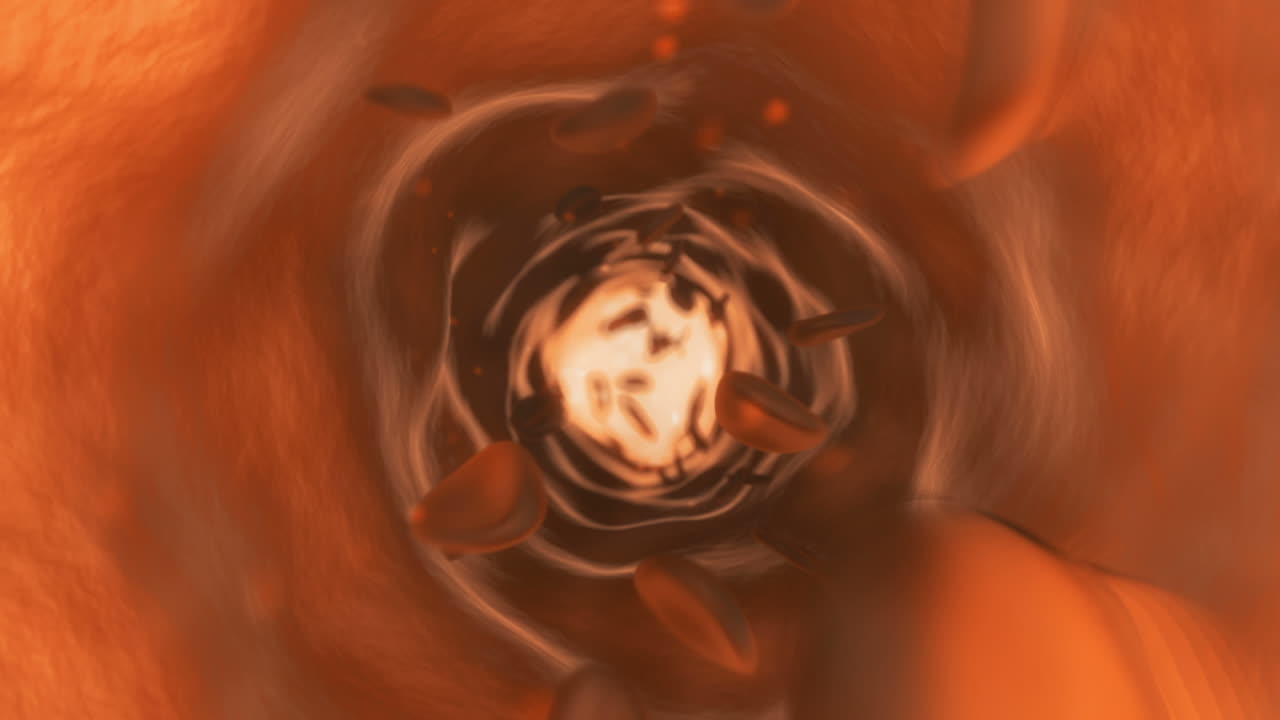 혈액이 흐르는 정맥의 내부