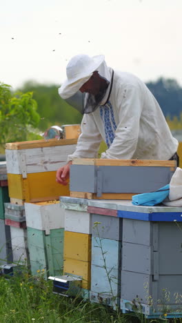 beekeeper inspecting hives in summer. experienced apiarist working on a bee farm among beautiful green nature. vertical video