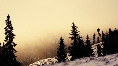 Foggy-morning-in-the-romanian-mountain