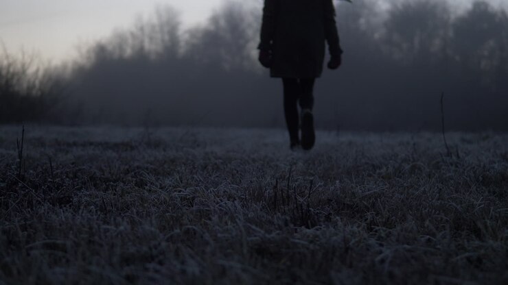 Inclinazione da un'angolazione bassa che segue una donna in silhouette in una mattina gelida.