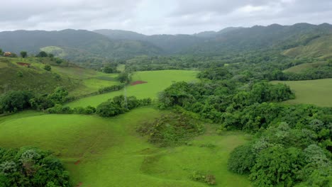 Rundflug-In-Geringer-Höhe,-Schöne-Aussicht-Auf-Die-Felder-In-Bonao,-Grüne-Vegetation,-Berge-Im-Hintergrund,-Luftaufnahme