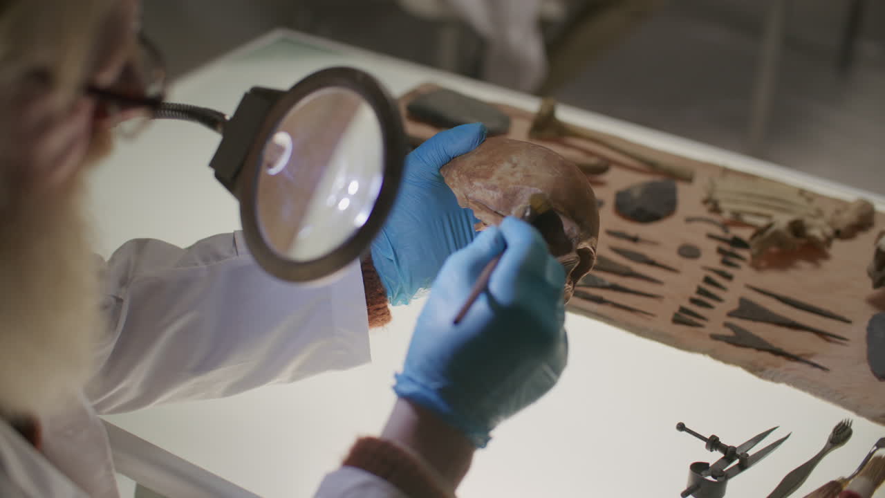 Archaeologist Cleaning Ancient Skull Under Magnifying Lamp in Laboratory