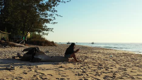 mujer joven enviando mensajes de texto a su teléfono móvil, sentada en un baúl seco sobre arena blanca de playa exótica con vista al mar